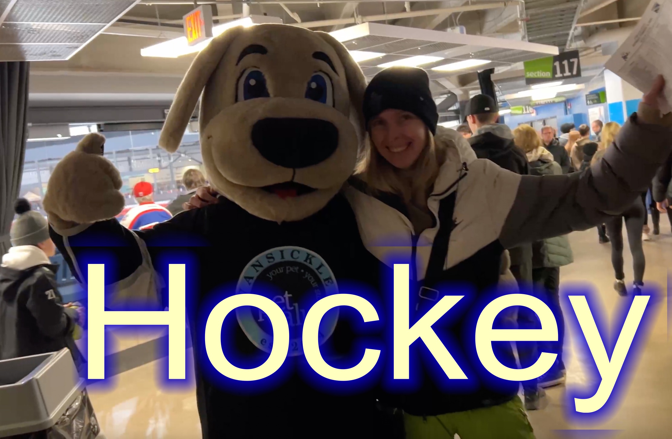 Хокейна гра в підтримку України